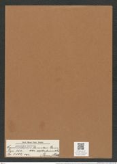 Coscinodiscus lacustris var. septentrionalis (Grun.) Rattr (de-Toni-Nr.: Genus 202, Species 5102) Zeichnungen Sammlung Grunow Mappe 04883 (Herbarium_W_Grunow_drawings_Folder_04883)